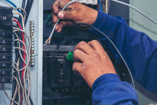 Best Electrician for Home Renovation  in Monroe, IA